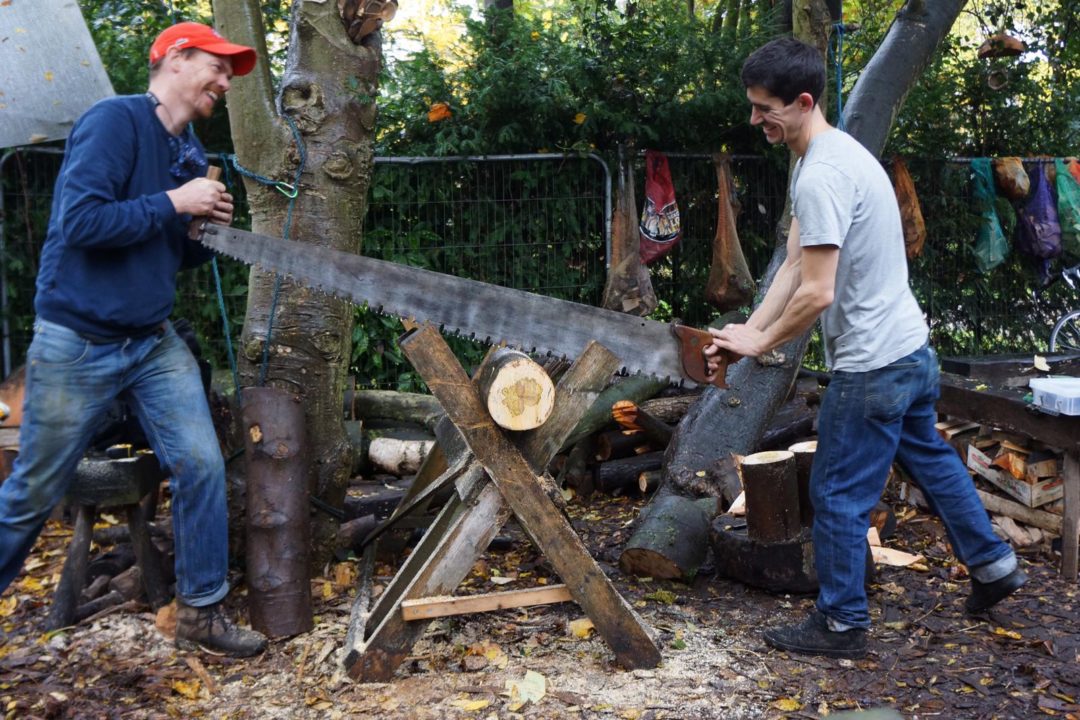 cooperation, two person saw, crosscut saw